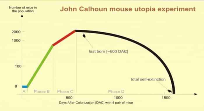 calhoun-experiment