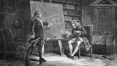 Bernoulli Ailesi