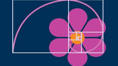 Fibonacci Dizisi Nedir?