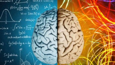 sağ beyin sol beyin