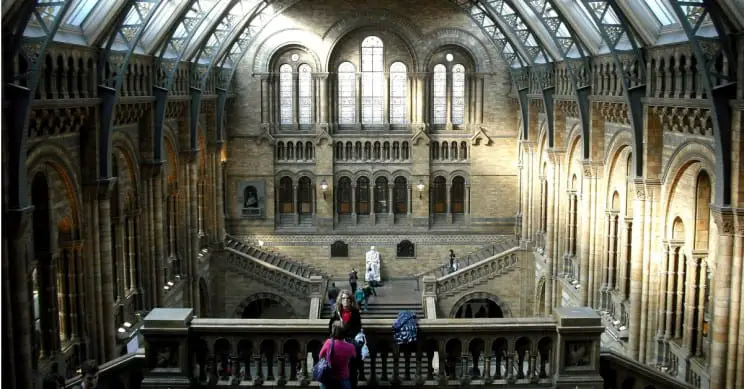 Doğa Tarihi Müzesi - Londra, İngiltere