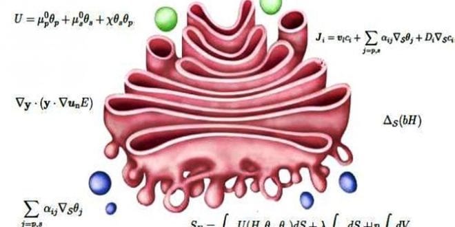 Matematik İle Biyoloji Arasında Bir Köprü: Biyomatematik