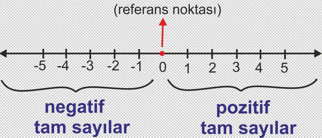 tam sayılar sayı doğrusu