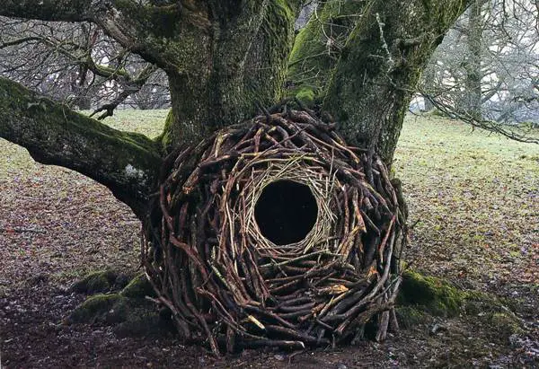 Andy Goldsworthy