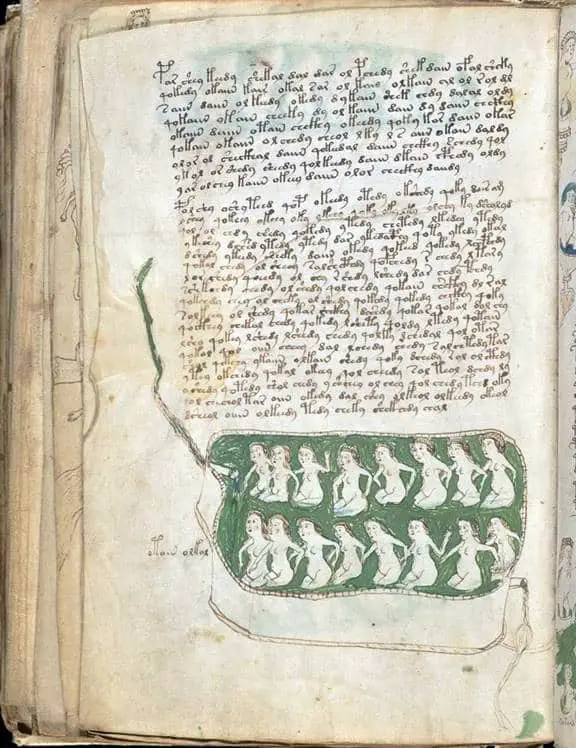  Voynich El Yazması 