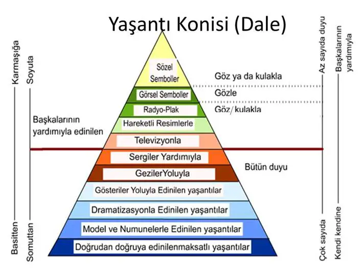 dale yaşantı konisi