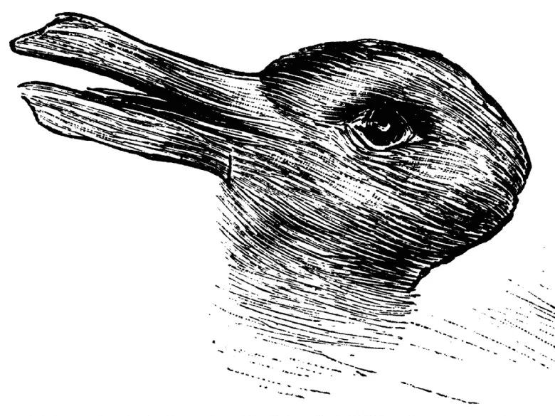 Ördek-Tavşan İllüzyonu