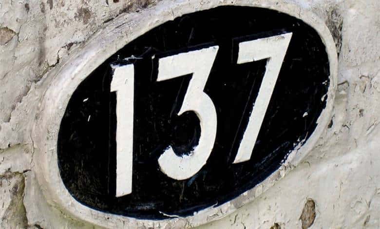 137 sayısı
