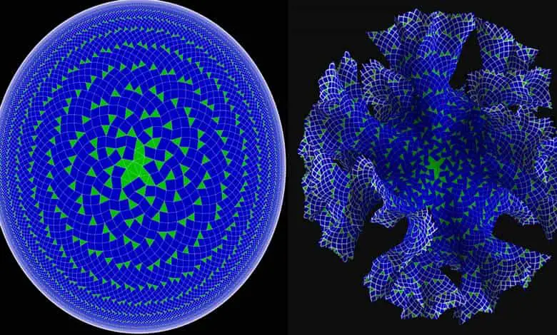 Hiperbolik Geometri Nedir?