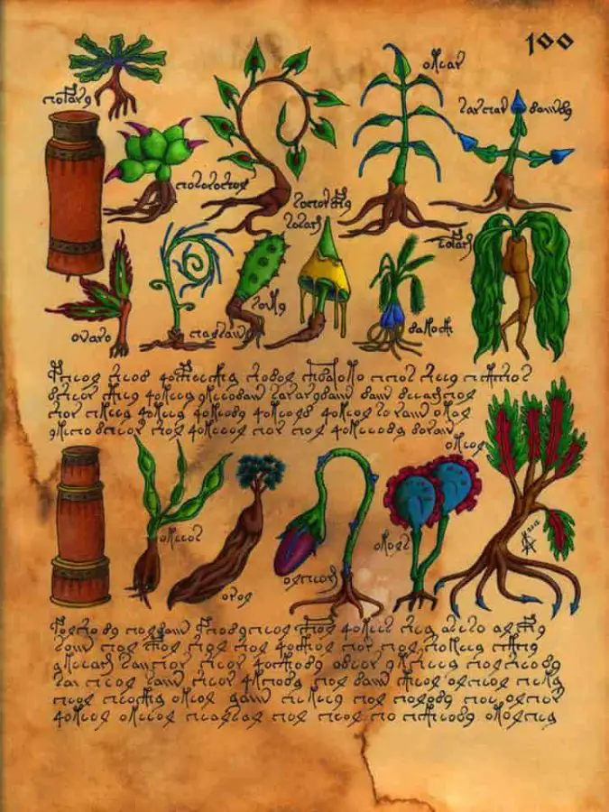  Voynich El Yazması 