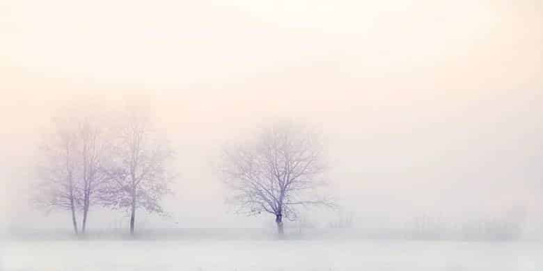 Neden Kışın Daha Fazla Hasta Oluyoruz? Soğuk Hava Hasta Eder mi? 