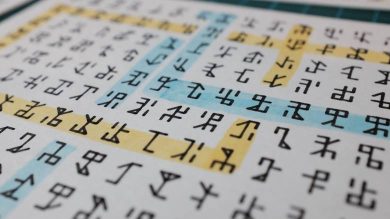 Sistersiyen sayıları