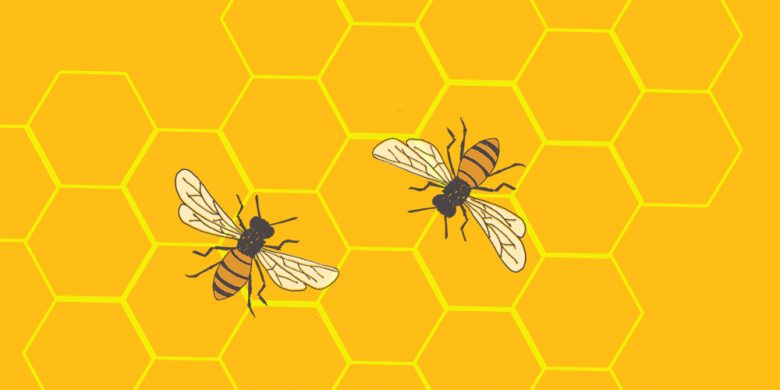 Arılar Bal Peteklerini Neden Altıgen Biçiminde Yaparlar?