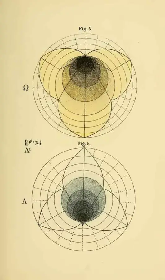 Geometrik Psikoloji: Benjamin Betts'in Matematiksel Bilinç Modelleri