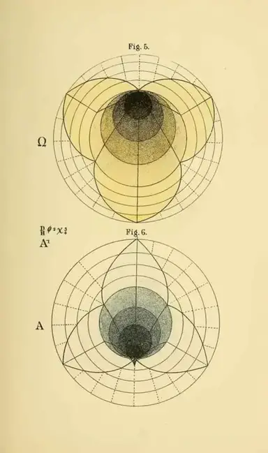 Geometrik Psikoloji: Benjamin Betts'in Matematiksel Bilinç Modelleri