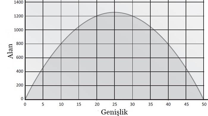 Matematikte Optimizasyon Nedir?