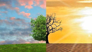 iklim değişikliği