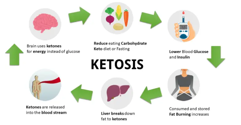 Keto Diyeti Nedir?