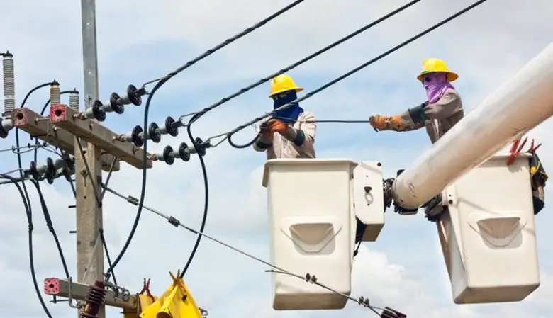 Elektrik Tellerindeki Kuşları Neden Elektrik Çarpmaz?