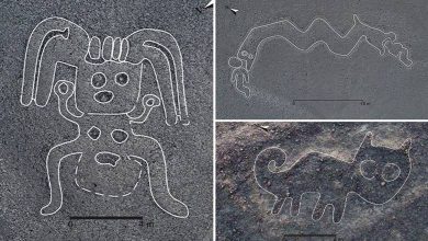 nazca çizgileri