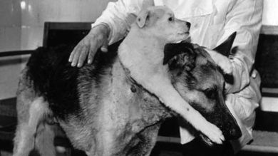 Vladimir P. Demikhov