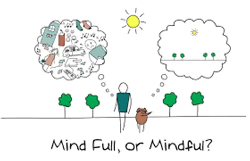 Mindfulness - Farkındalık