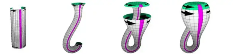 Klein Şişesi nedir