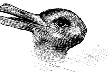 tavşan ördek