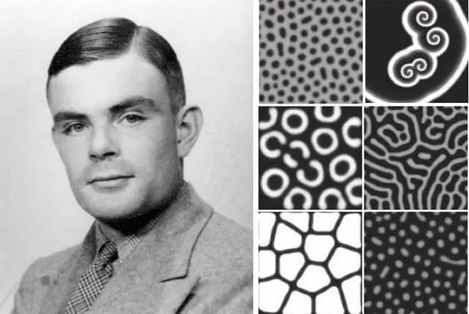 Turing Denklemleri Nedir?