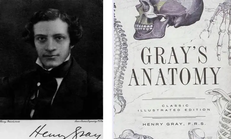 Henry Gray