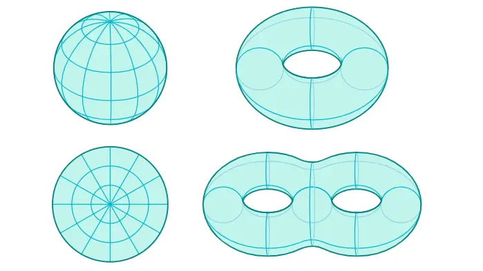 Matematiksel Anlamda Delik Nedir? Bir Pipette Kaç Delik Vardır?