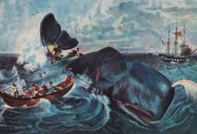 moby dick