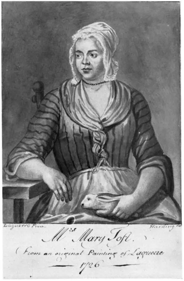 Mary Toft tavşan