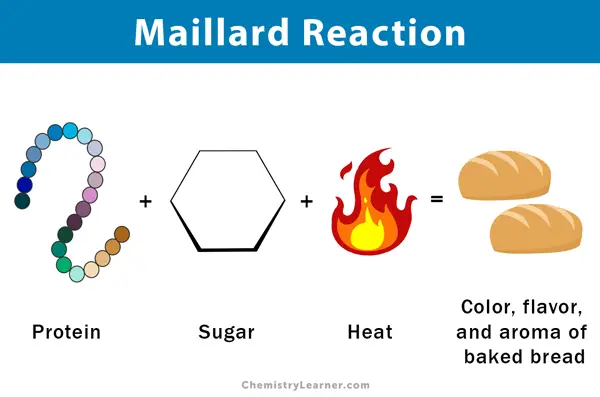 Maillard Reaksiyonu Nasıl Gerçekleşir?