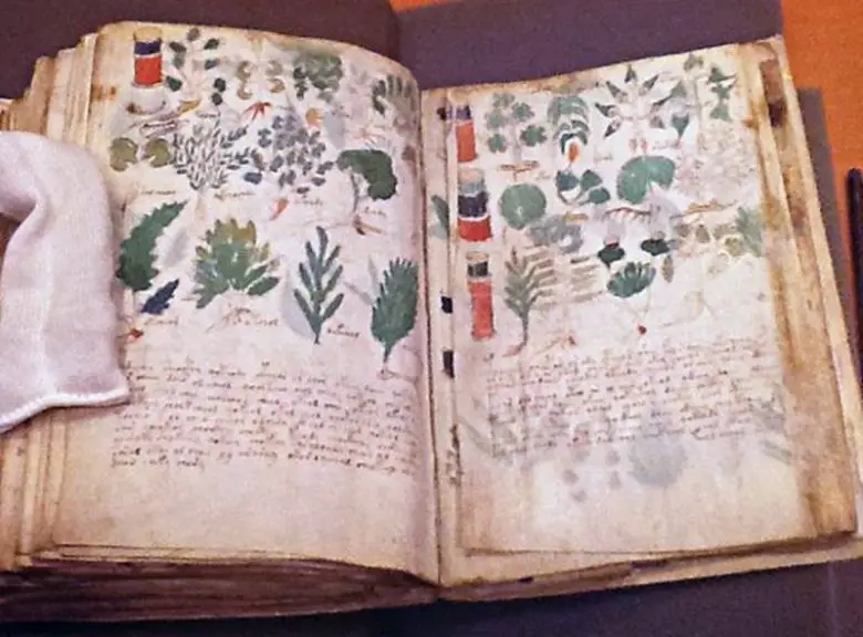 Voynich El Yazmasının Gizemi