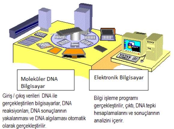 Geleceğin Bilgisayarları DNA Bilgisayarı Olabilir!