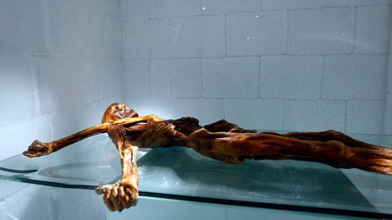 Buz Adam Ötzi Dövmeleri Ne Amaçla Yapılmıştı?