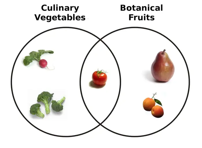 Meyve ve Sebze Farkı Nedir? Domates Bir Meyve mi Yoksa Sebze mi?