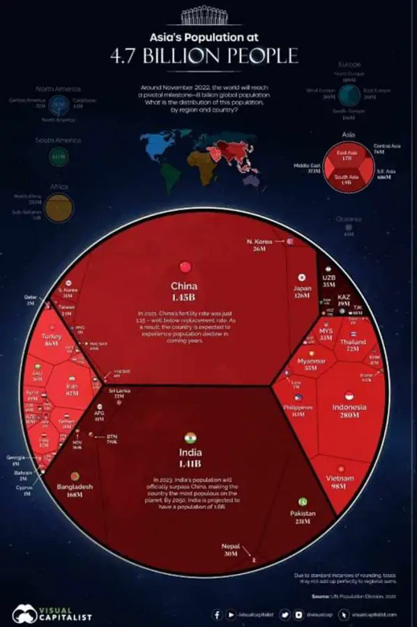 dünya nüfusu 8 milyar