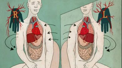 insan vücudu asimetri