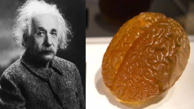 Einstein'ın beyni