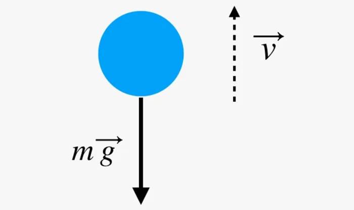 Kaçış Hızı Nedir? Dünya Gezegeninden Nasıl Kaçabiliriz? 