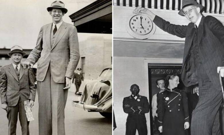 Dünyanın En Uzun İnsanı Robert Wadlow Neden Bu Kadar Uzadı