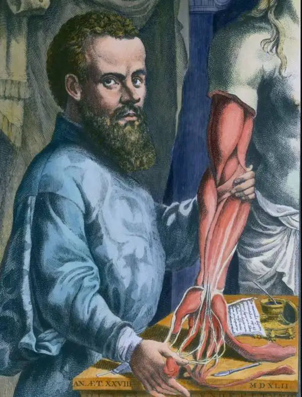 Andreas Vesalius Kimdir?