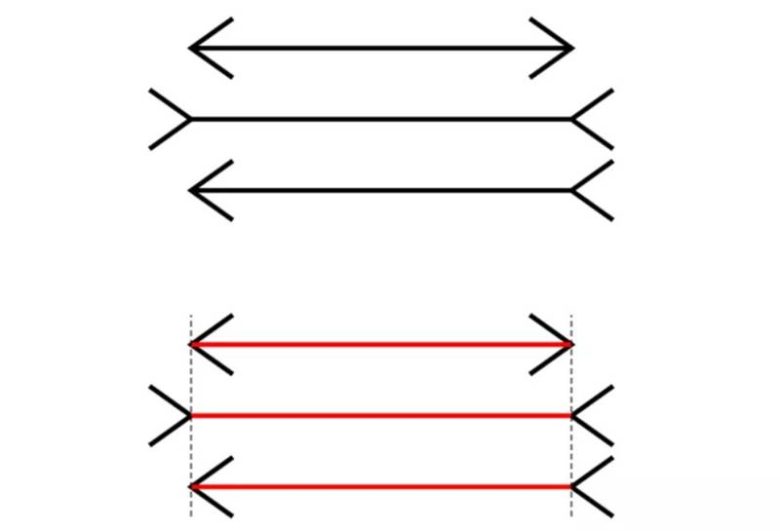 Muller-Lyer Yanılsaması 