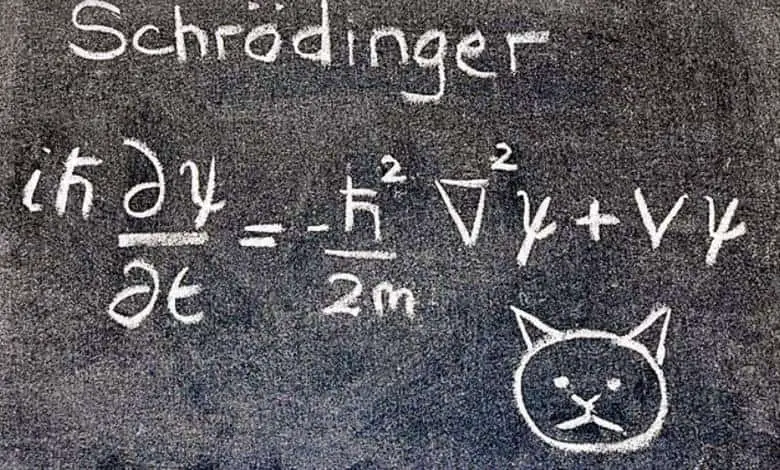 Schrödinger'in Kedisi Deneyi Neden Yapılmıştı? Schrödinger Denklemi Neyi Kanıtladı?