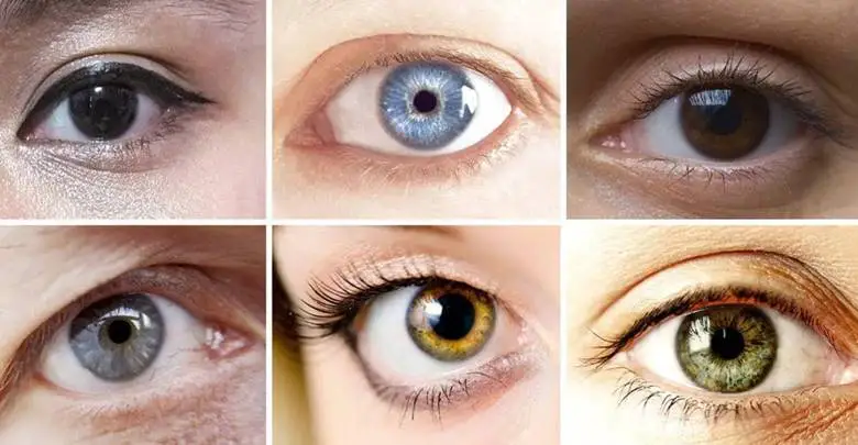Kahverengi, Mavi Ve Ela Göz Rengi Nasıl Oluştu?