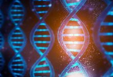 DNA