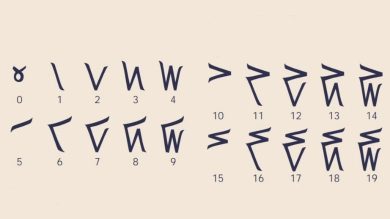 Kaktovik Sayı Sistemi Nedir?