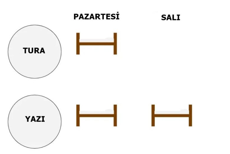 Uyuyan Güzel Problemi Nedir?